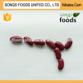 Chinese Fresh Beans Dark Red Kidney Beans